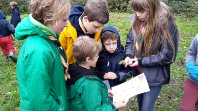 Scouts teaching the Beavers about trees