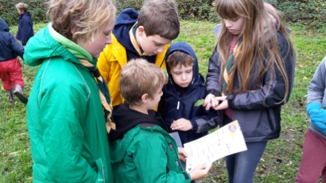 Scouts teaching the Beavers about trees